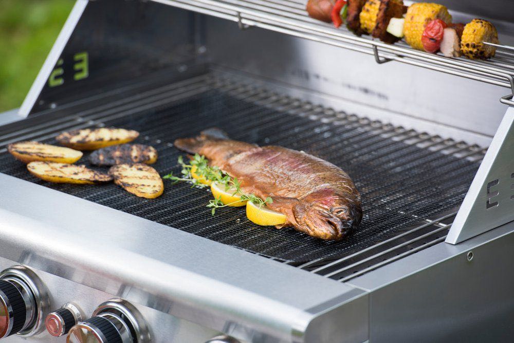 mustang neprilnava mrezka-2